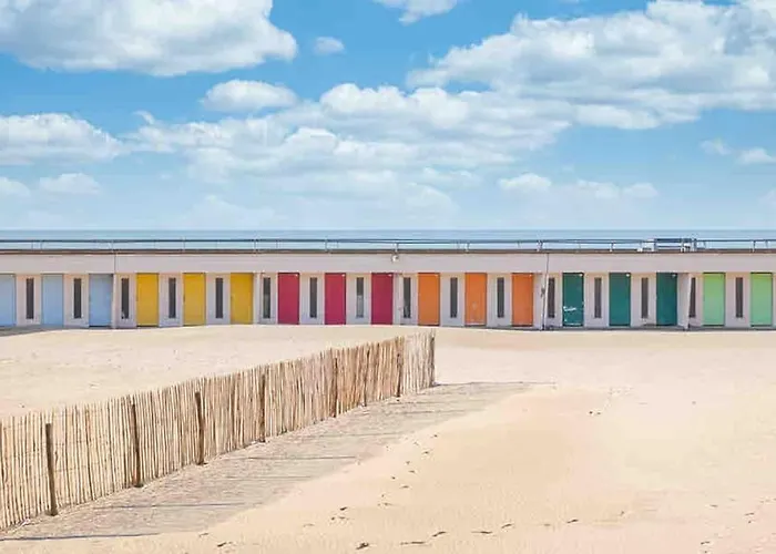 «  La Mouette Rieuse » *