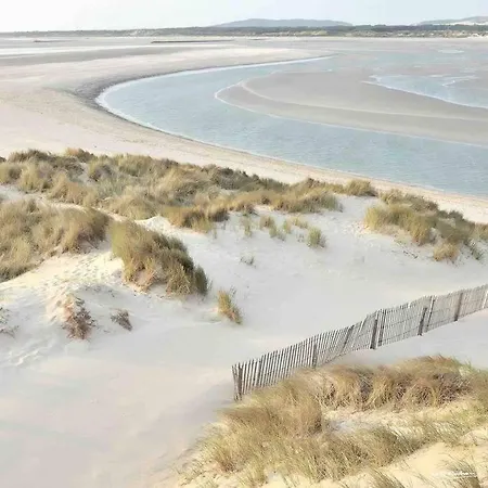 «  La Mouette Rieuse »