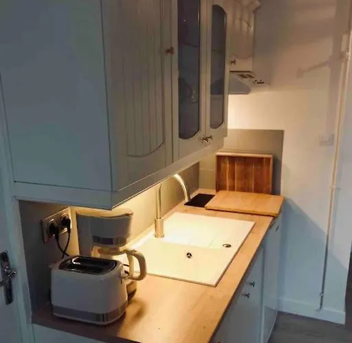 «  La Mouette Rieuse » * Le Touquet