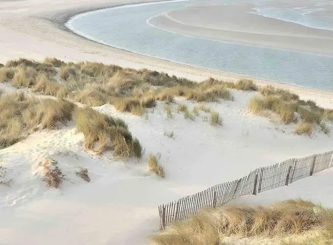 «  La Mouette Rieuse »